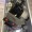 lindgren_pitman_lp_s2_1200